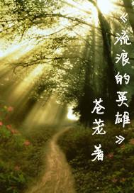 流浪者英雄游戏
