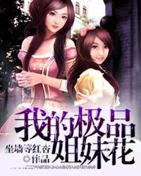 我的极品姐妹花唐男