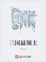 三国最开始的三位领导者
