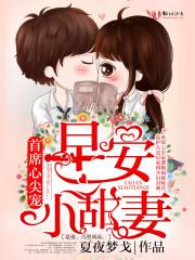 厉少宠妻实录免费