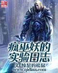 疯巫妖的实验日志讲的是什么
