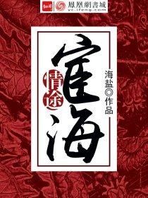 宦海情途广播