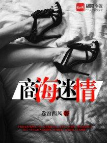 商海风云短剧免费播放