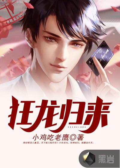 狂龙归来84一100集免费观看