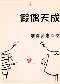 假偶天成原著