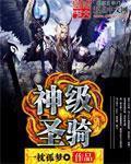 神圣骑士01