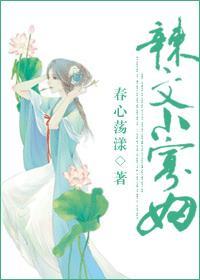 小寡妇结局
