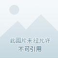 小神医免费全文阅读