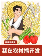 我在农村修个仙无弹窗