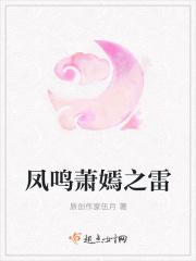 萧凤鸣是什么电视剧