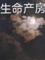 生命 生命