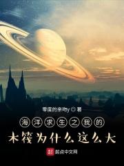 海洋木筏求生中文