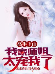 叶北辰九十九位师傅的免费阅读笔