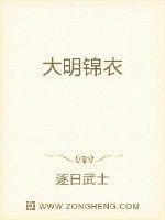 锦衣状元