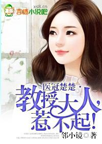 医冠楚楚教授大人惹不起阅读