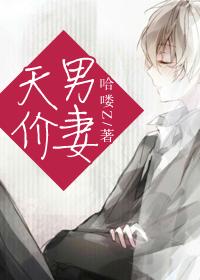 天价男妻第二部