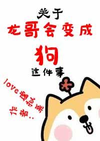 龙哥是什么