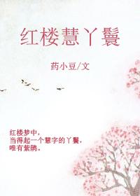 红楼丫鬟电视剧全集