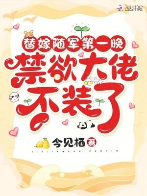 替嫁将军by夜冰