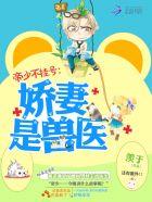 帝少娇宠小甜妻免费