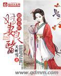 娇妻佳婿配良缘