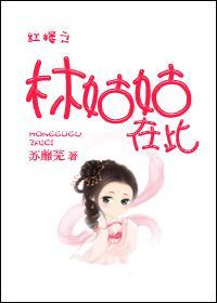 红楼之林家姑姑 作者冰水中的鱼