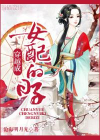 穿越成了女配那种