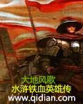 铁血英雄剧情介绍