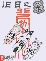 旧日之箓中的正法
