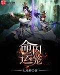 命运的牢笼目录