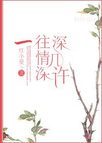 一往情深深几许的解析