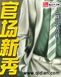 官场新秀无弹窗