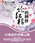 红楼视角