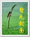 宠魅什么时候写的