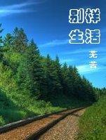 别样幸福生活电视剧