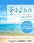 等你奔赴向我