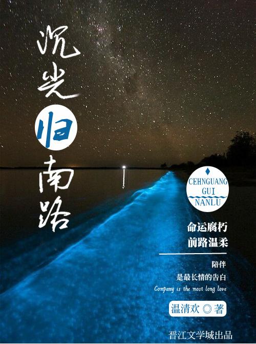 沉光归南路!
