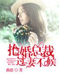 总裁的抢婚密爱