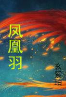凤凰羽毛英文