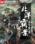 北洋什么意思
