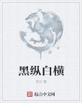 黑白纵横txt