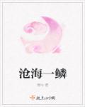 沧海一粟百度百科