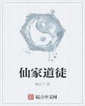 仙家跟道家什么意思