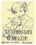驸马进入公主