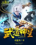 武道神帝无弹窗