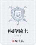巅峰骑士团蔷薇版攻略