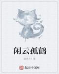 闲云孤鹤表达什么情感