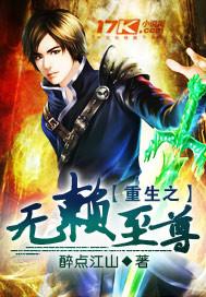 无赖至尊讲的什么