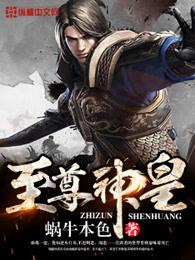 至尊神皇无弹窗广告