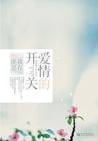 爱情的开关什么意思